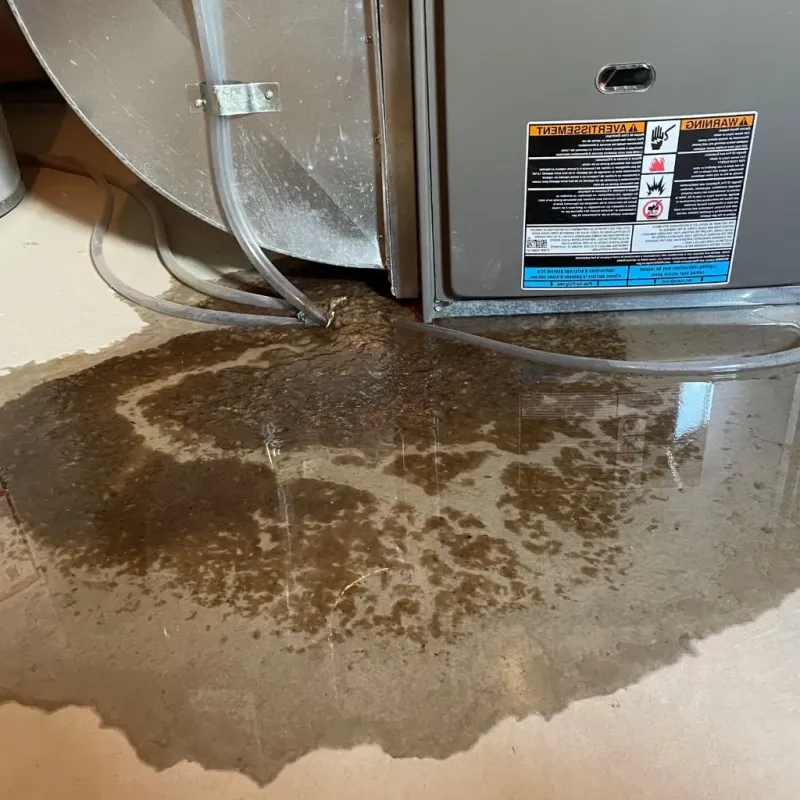 Pipe Burst and Leak Restoration in Reamstown, PA