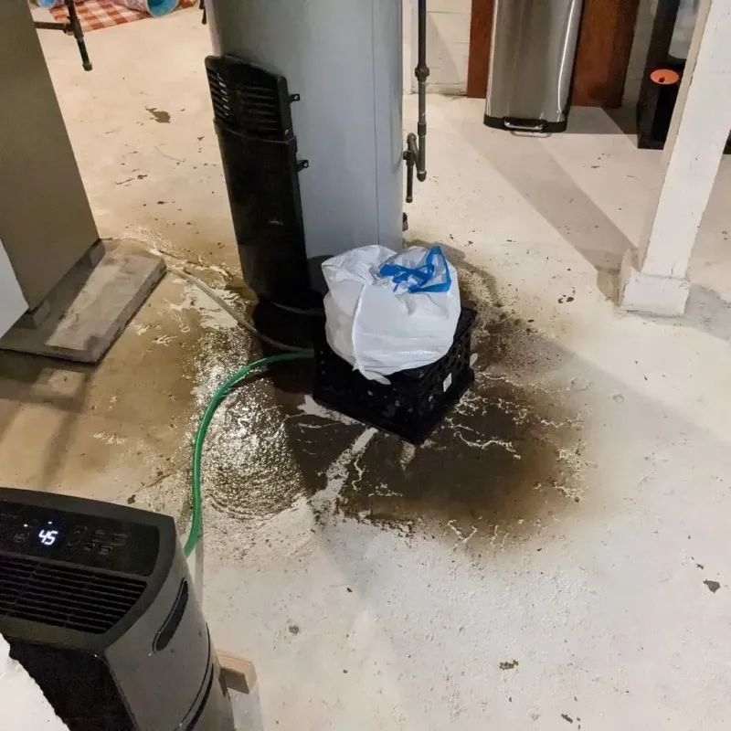 Sewage Backup Cleanup Service in Reamstown, PA